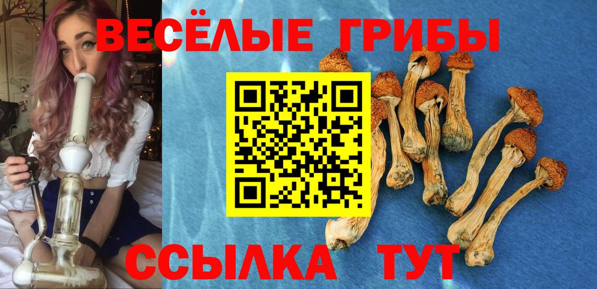 Норильск  Псилоцибиновые грибы прущие грибы  Вход с VPN 