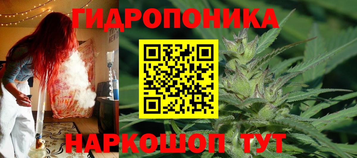 МАРИХУАНА сатива  Бошки Шишки White Widow  Бошки марихуана Bruce Banner  Вход с VPN  Норильск  Шишки марихуана SATIVA & INDICA 